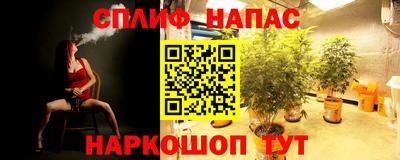ПСИЛОЦИБИНОВЫЕ ГРИБЫ Будённовск